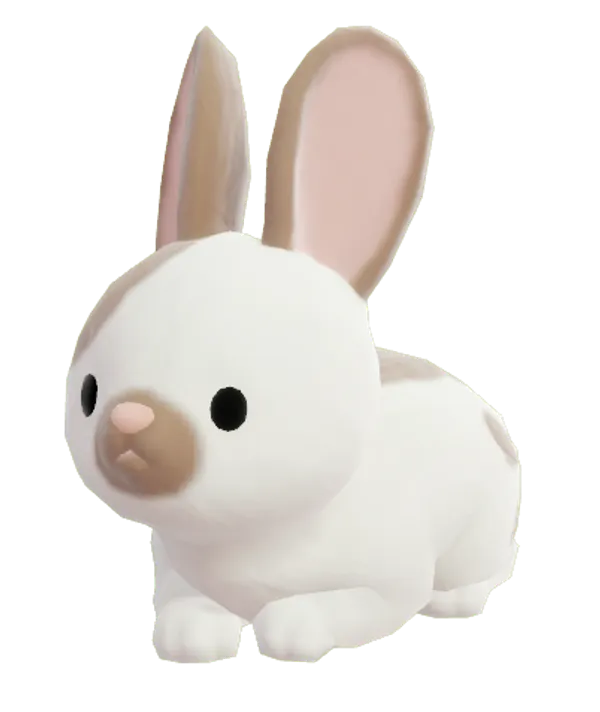 Bunny