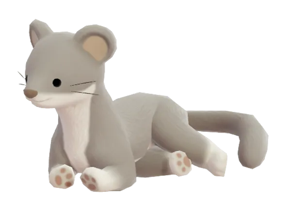 Ferret