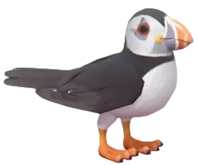 Atlantic Puffin
