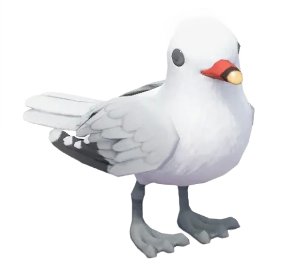 Audouin’s Gull