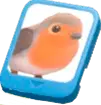 Average Bird Card