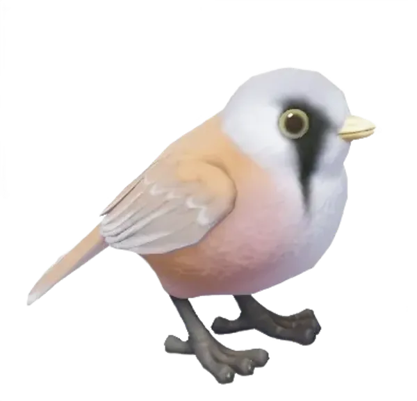 Bearded Reedling