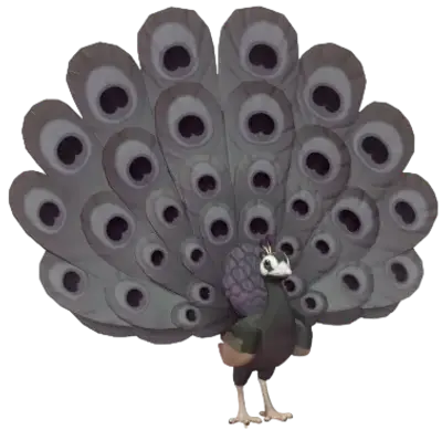 Black Peafowl