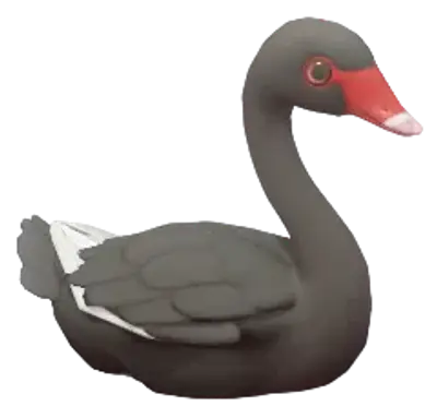 Black Swan