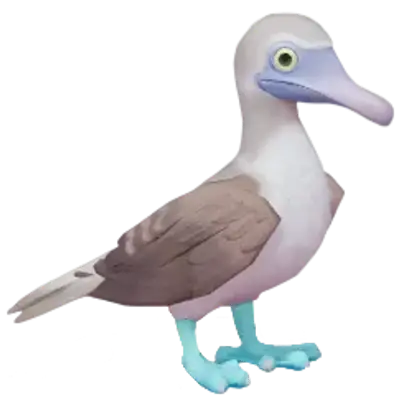Blue-Footed Booby