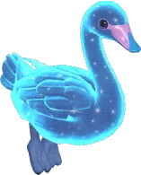 Starry Swan