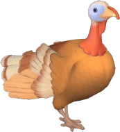 Bourbon Red Turkey