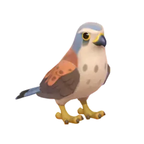 Common Kestrel