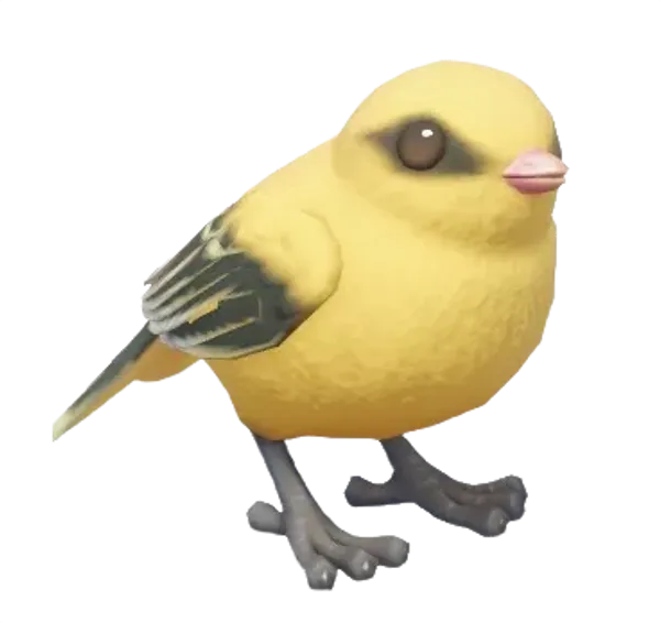 Eurasian Golden Oriole