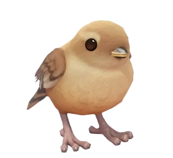 Eurasian Wren