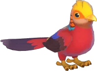 Golden Pheasant