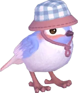 Camping Sparrow
