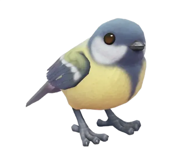 Great Tit