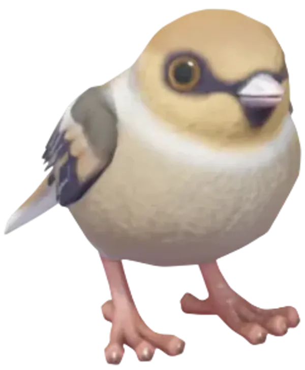 Hawfinch