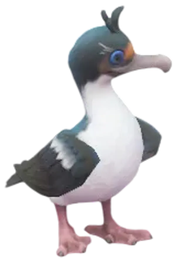 Imperial Shag