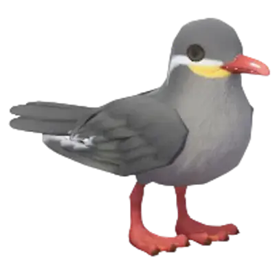 Inca Tern