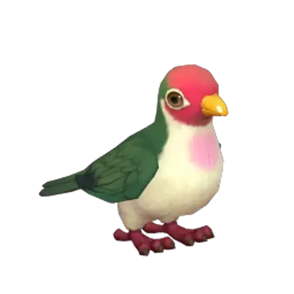 Jambu Fruit Dove