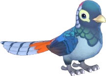 Lady Amherst's Pheasant
