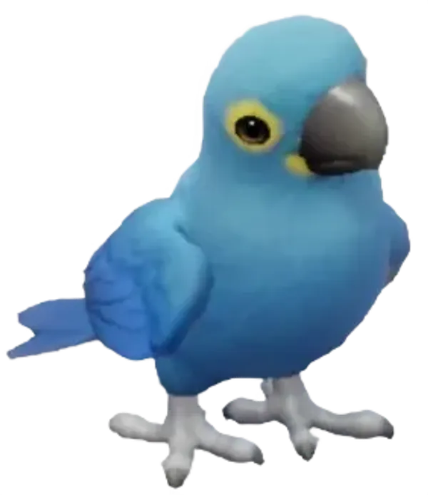 Lear's Macaw