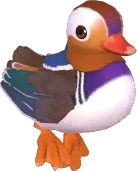 Mandarin Duck