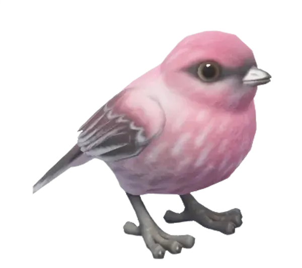 Pine Grosbeak