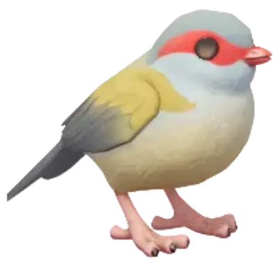 Red-Browed Finch