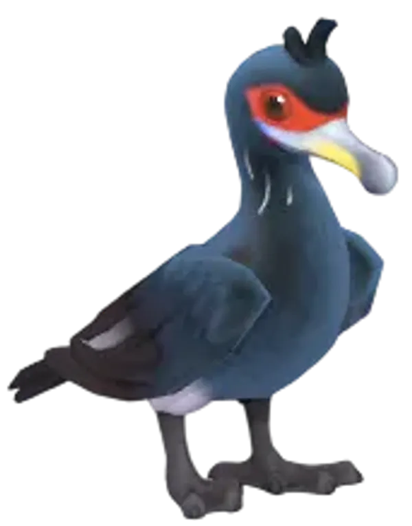 Red Faced Cormorant