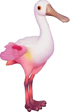 Roseate Spoonbill