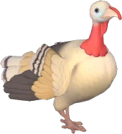 Royal Palm Turkey