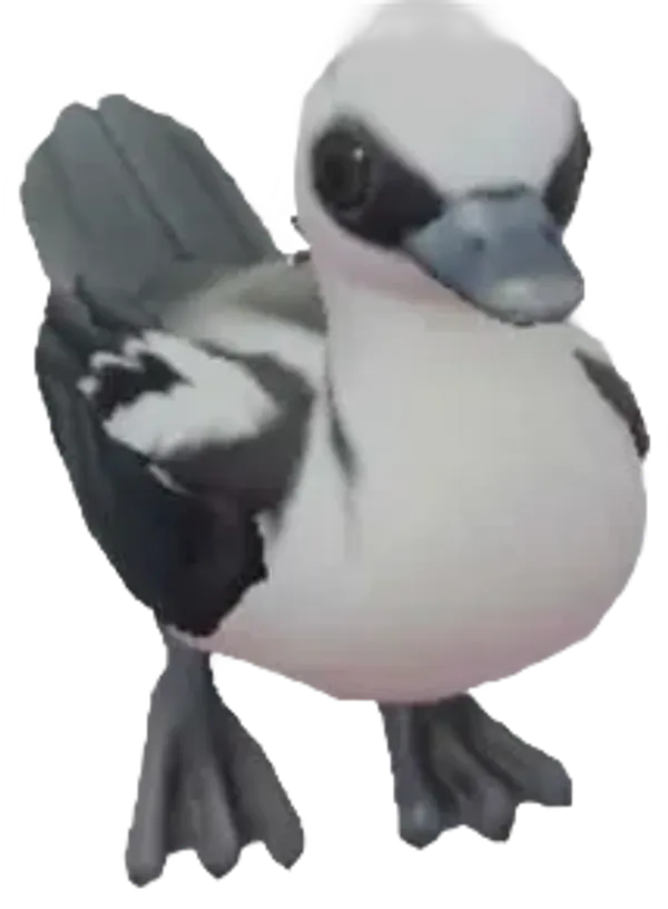 Smew