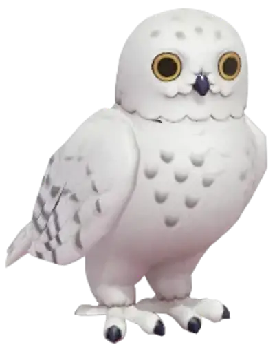 Snowy Owl