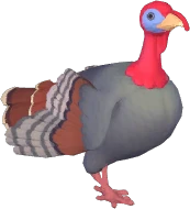 Turkey