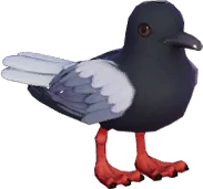 White-Winged Tern