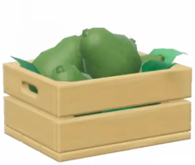 Avocado