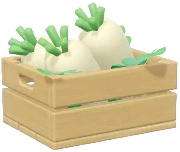 White Radish