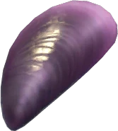 Black Diamond Mussel