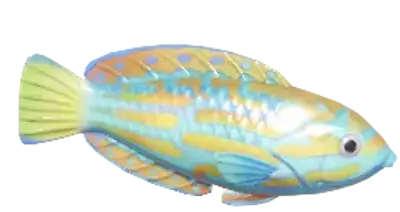 Blue-and-Yellow Wrasse