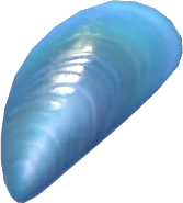 Blue Diamond Mussel