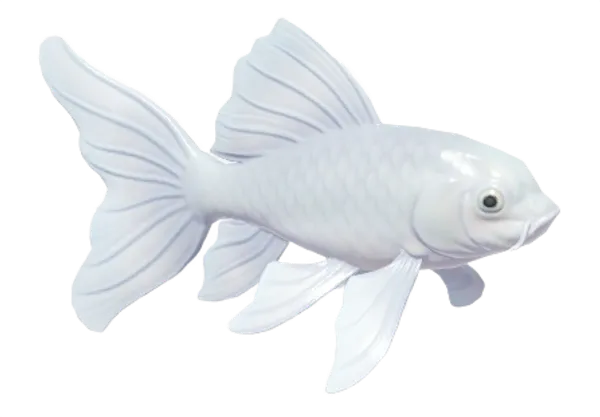 Butterfly Koi