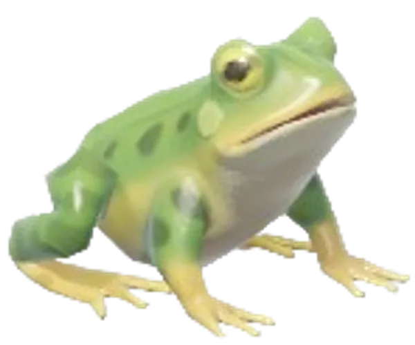 Edible Frog
