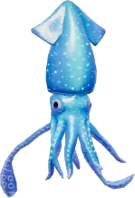 Firefly Squid