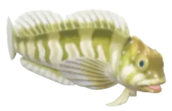 Freshwater Blenny
