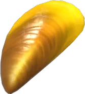 Golden Mussel