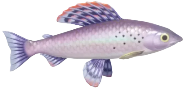 Grayling