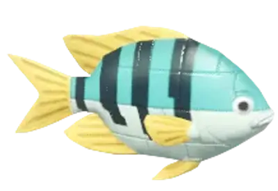 Green Brick Clownfish