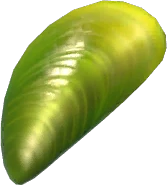 Jade Mussel