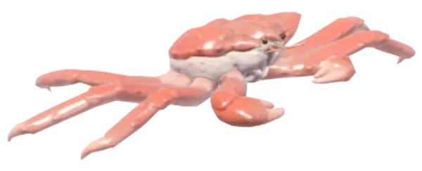 King Crab