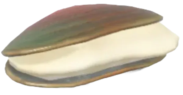 Large Pearl Mussel