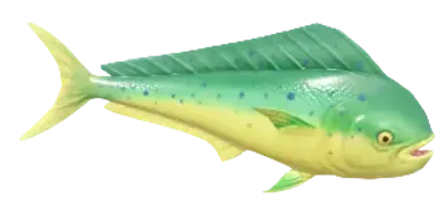 Mahi-Mahi