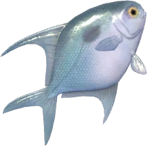 Permit